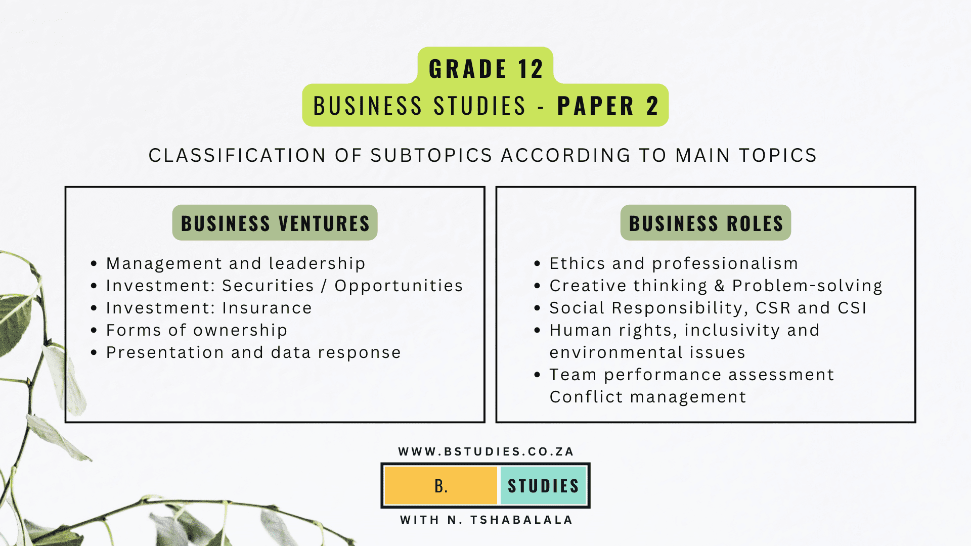 Breakdown of Subtopics and Exam Scope | FET Phase Business Studies